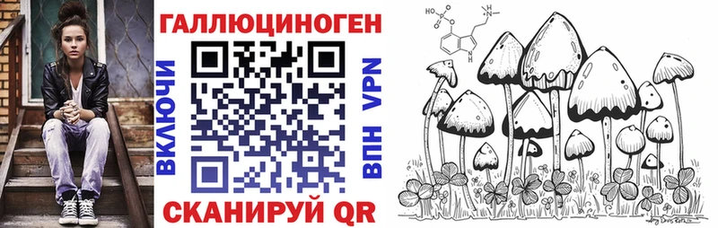 Псилоцибиновые грибы Cubensis  Волхов 